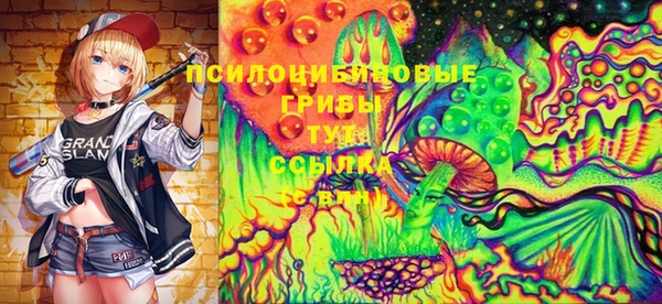 твердый Алзамай