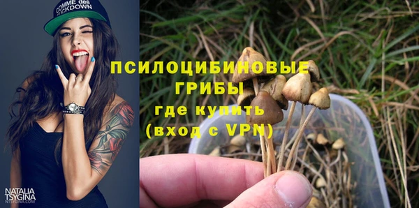 ALPHA PVP Арсеньев