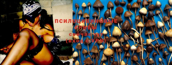 apvp Армянск