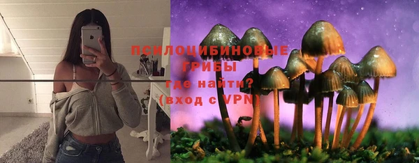 apvp Армянск