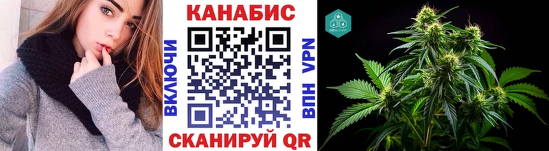 Шишки марихуана сатива  shop наркотические препараты  Гурьевск 